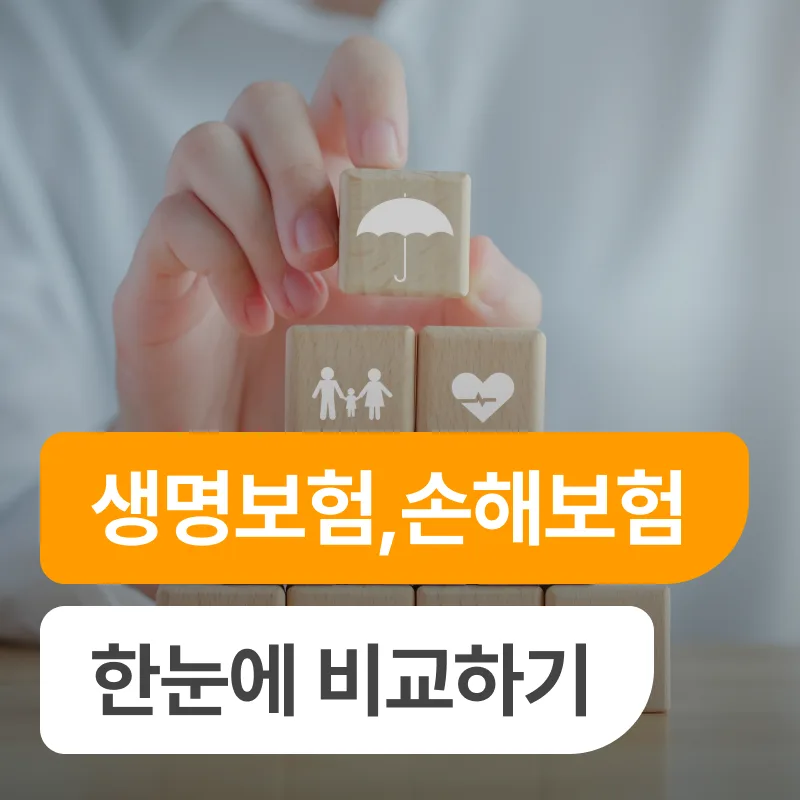 생명보험 vs 손해보험 차이점 2026: 가입 전 필수 체크리스트