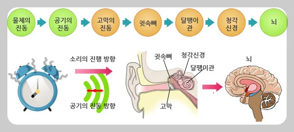 소리 전달 원리 2026: 기체, 액체, 고체 매질별 속도 비교