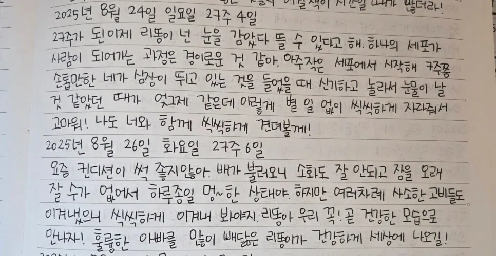 임신 27주 변화와 주의사항: 산모와 태아 건강 가이드 2026