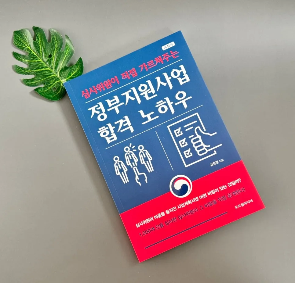 정부지원사업 합격 노하우: 심사위원 꿀팁 2026년 총정리