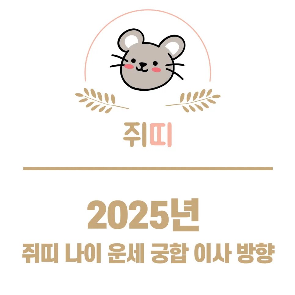 2025년 쥐띠 운세 총정리: 나이, 삼재, 궁합, 이사 방향 완벽 분석
