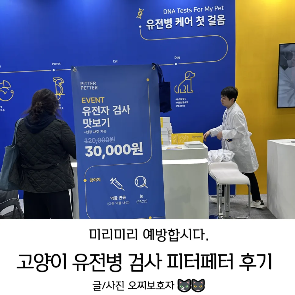 고양이 유전병 검사, 피터페터 캣터링 2026년 최신 후기