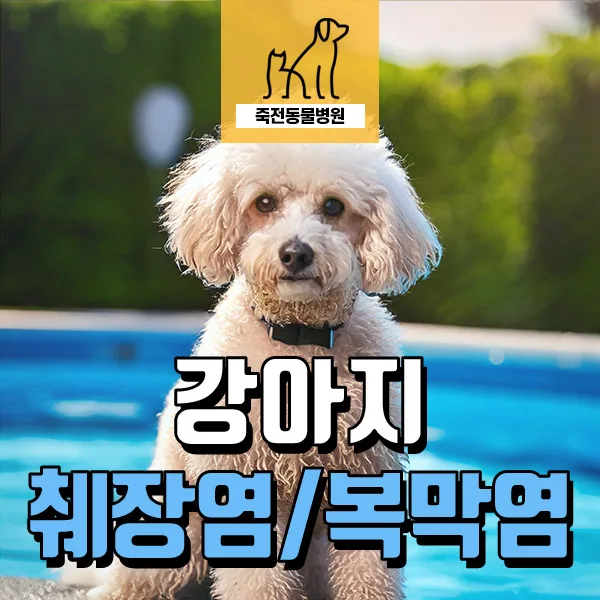 강아지 췌장염, 복막염 동시 진단 시 치료법은? 2026년 사례 분석