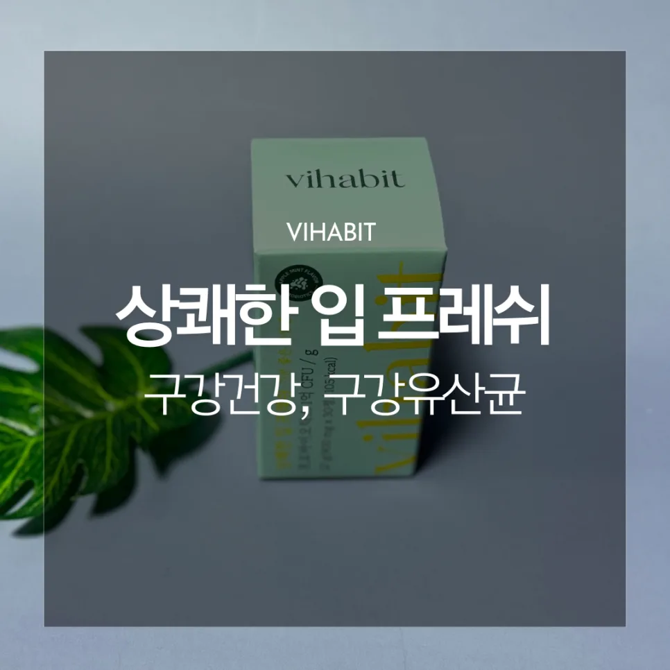 입냄새 제거 꿀팁 2026: 구강 유산균 효과와 섭취법 총정리