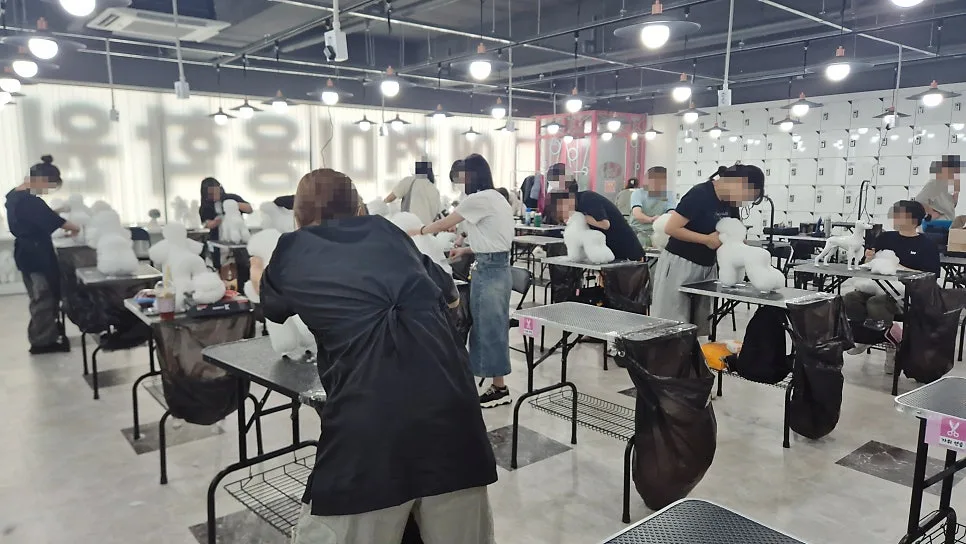 애견미용실 창업 준비 2026: 학원 선택부터 실전 노하우