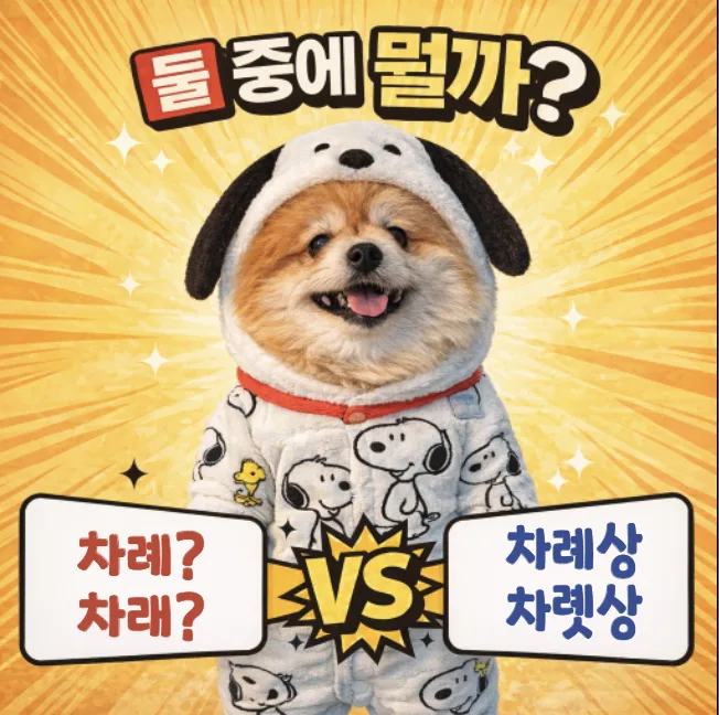 명절 제사 '차례' vs '차례상' 맞춤법 완벽 정리 2026