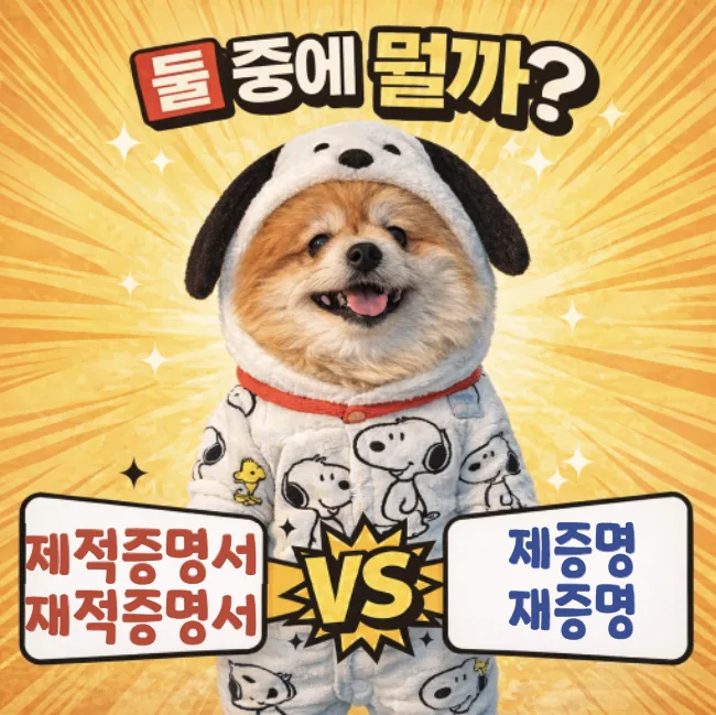 재적 vs 제적, 제증명 vs 재증명: 2026년 정확한 행정 용어 완벽 정리