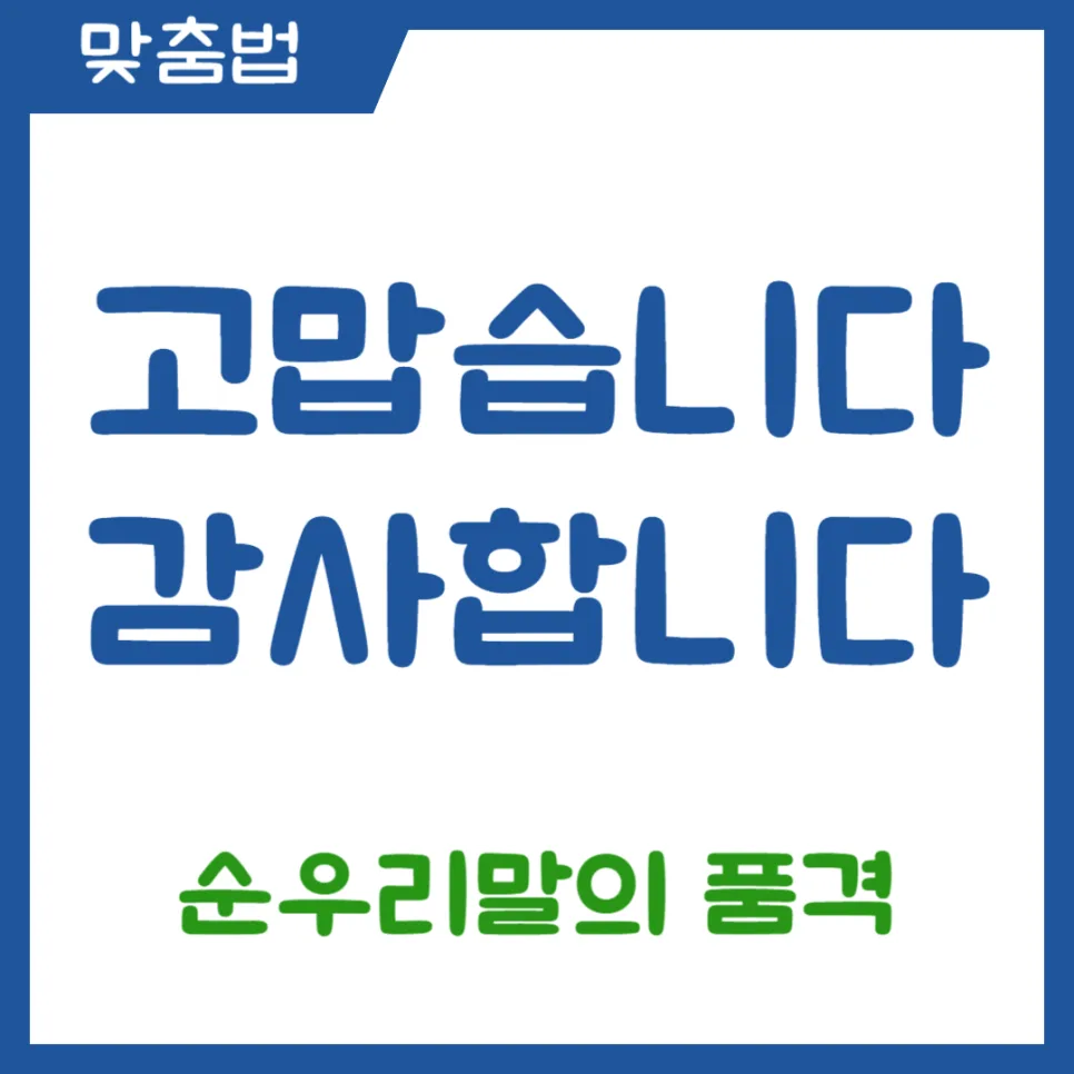 고맙습니다 vs 감사합니다: 2026년, 순우리말의 품격과 차이점 완벽 정리
