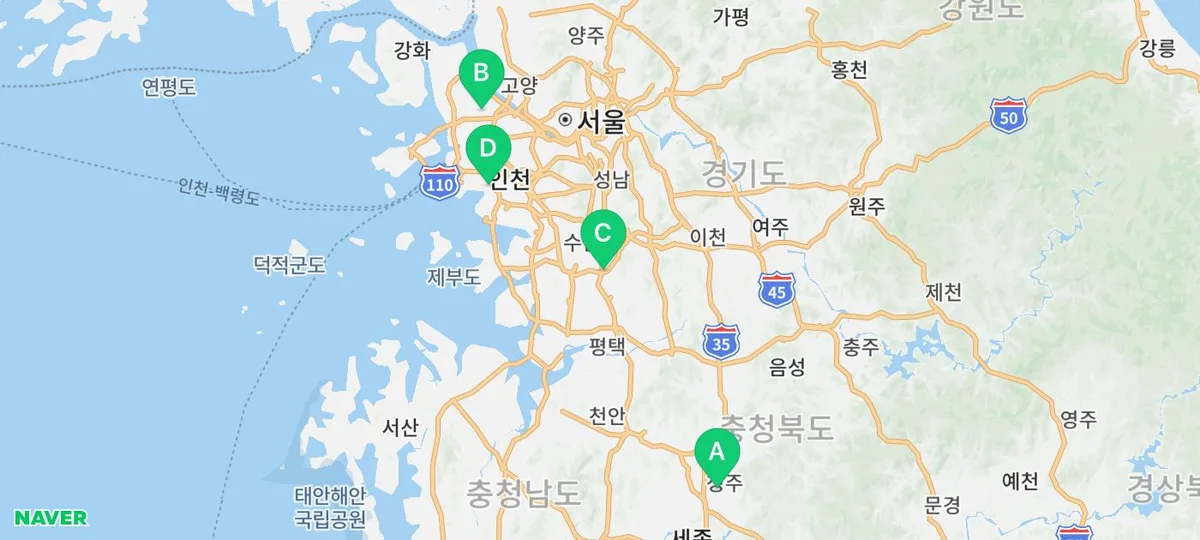 미니비숑 입양 가이드 2026: 분양 비용부터 첫 달 관리법까지