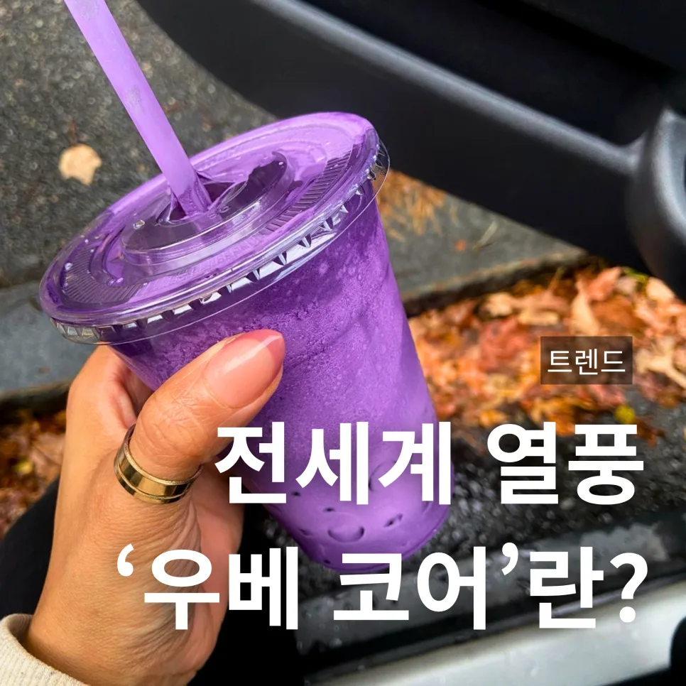 우베(Ube) 열풍 2026: 인기 이유와 자색고구마 차이점 총정리