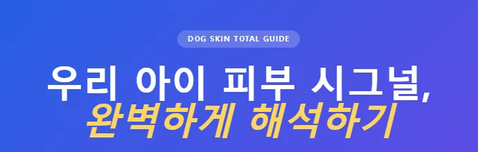 강아지 피부병 원인부터 병원 기준까지 2026년 총정리