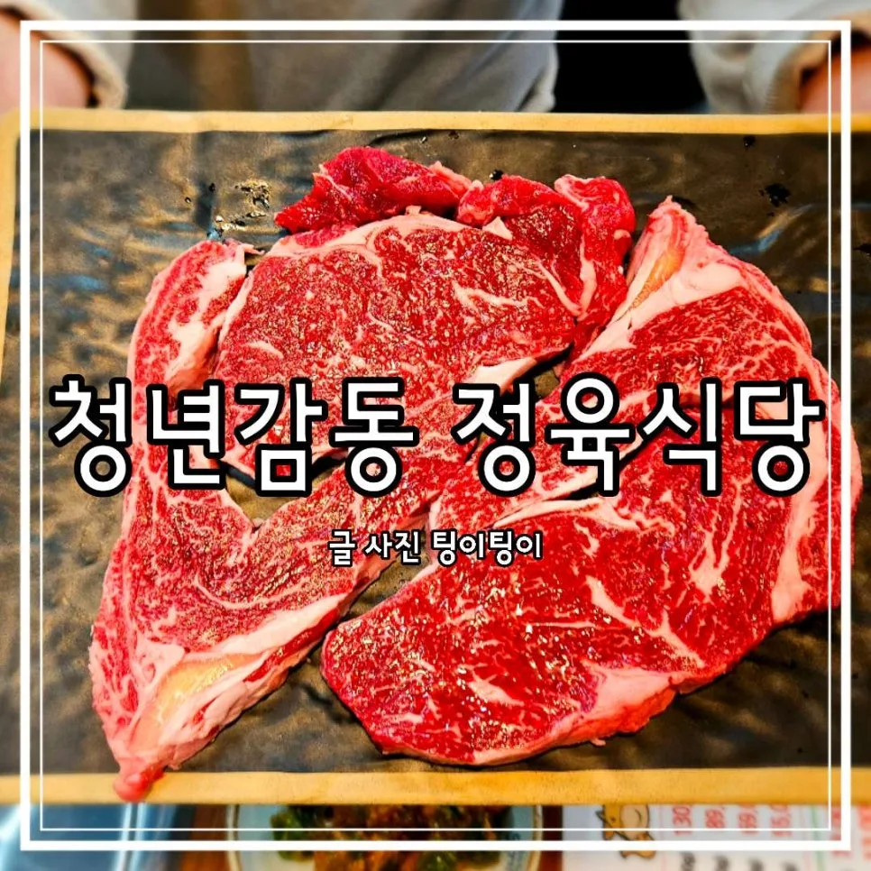 야당역 정육식당 회식 최적 장소 추천 2026: 청년감동정육식당 비교 분석