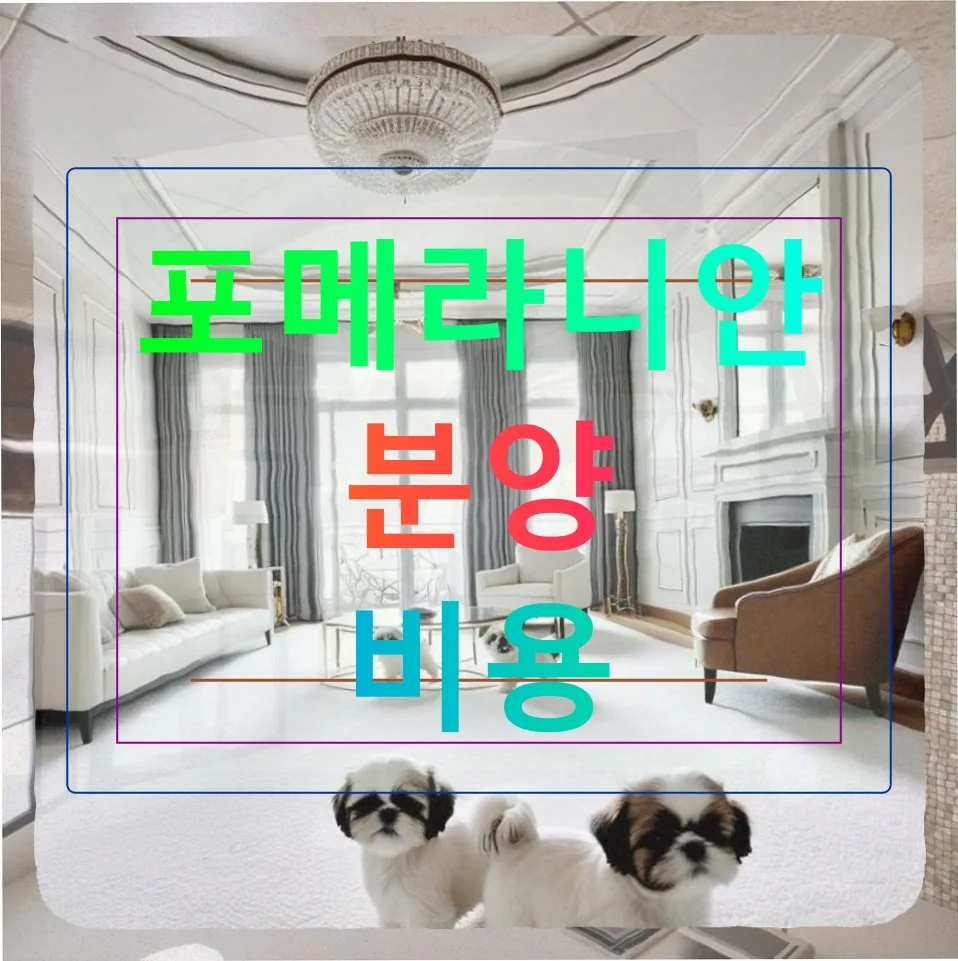 포메라니안 분양 비용, 숨겨진 지출까지 2026년 총정리