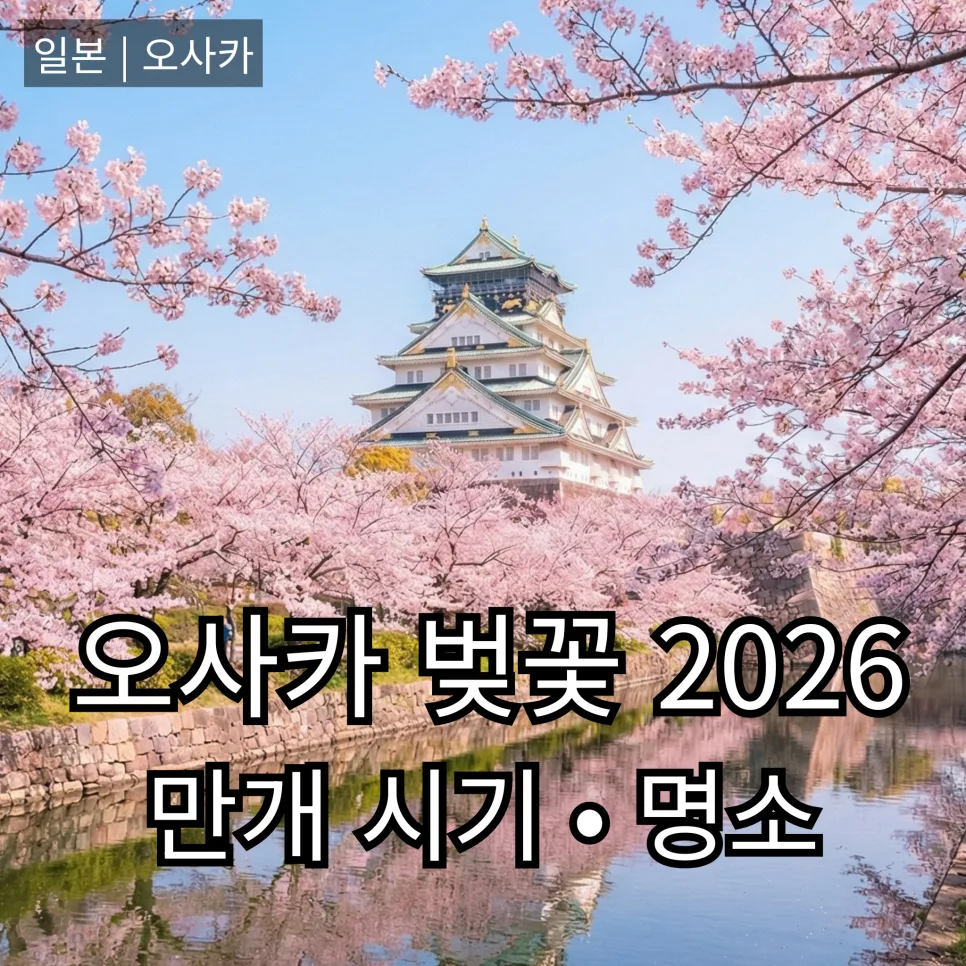 2026년 오사카 벚꽃 만개 시기 완벽 분석: 최적 여행일은 언제일까?