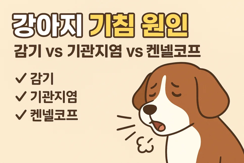 강아지 기침 원인 2026: 감기·기관지염·켄넬코프 구분법 총정리