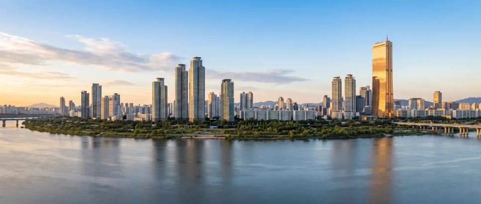 Korea's Price Cap 2026: Pros, Cons & US Buyer Guide