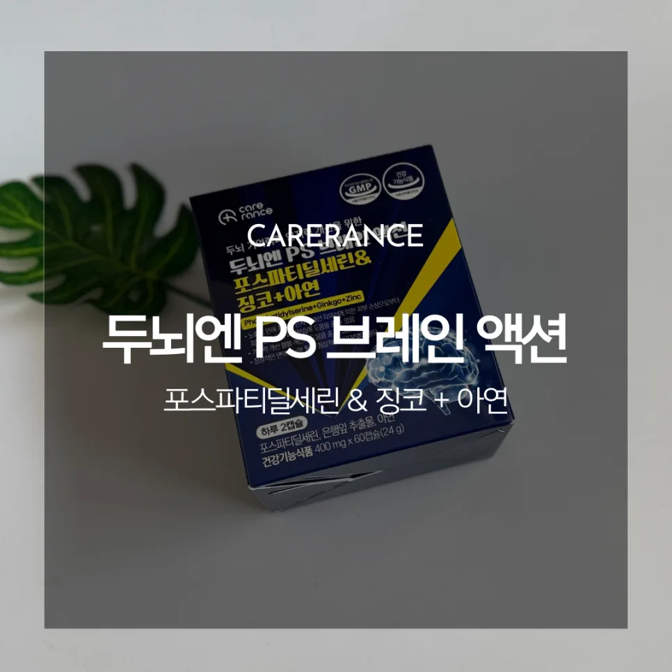 기억력 영양제 2026년 선택 가이드: 포스파티딜세린 효과와 복용법