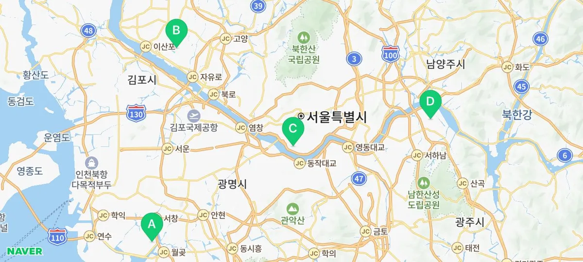 터키시앙고라 고양이 특징, 성격, 입양 전 필수 체크리스트 2026