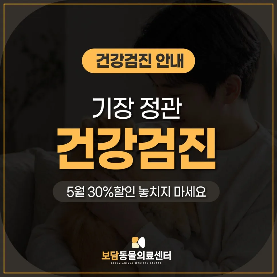 기장 정관 동물병원 건강검진, 2026년 할인 혜택과 필수 확인 사항