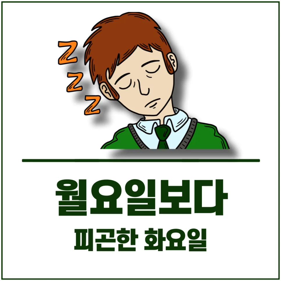 화요일 피로감, 과학적 원인과 극복법 2026년 총정리