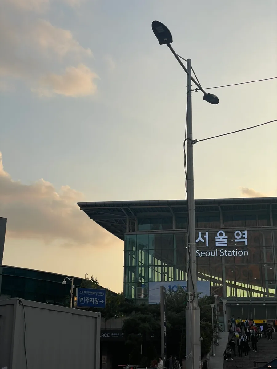다이어트 결심 후 한 주, 실제 경험자의 솔직 후기 2026