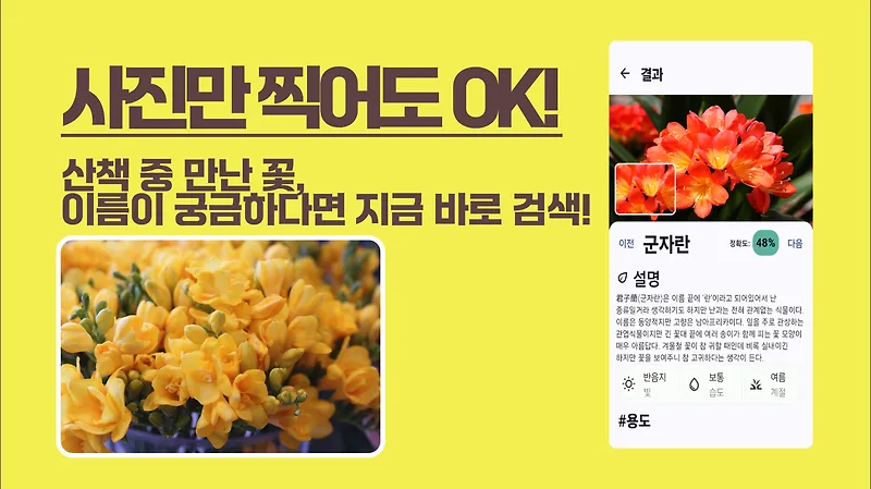 꽃 이름 AI 인식 앱 3가지 비교: 사진 한 장으로 식물 박사 되기