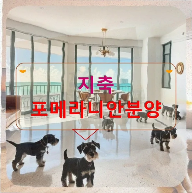 포메라니안 입양 후기: 말썽꾸러기 댕댕이와 동거 2026