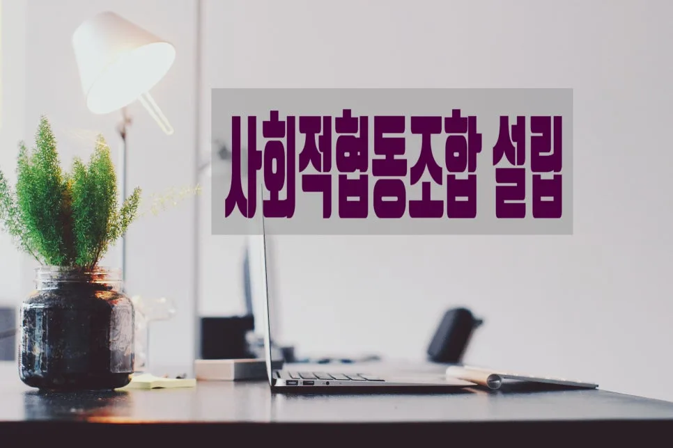 사회적협동조합 설립 절차 2026: 인가 신청부터 사업 계획까지