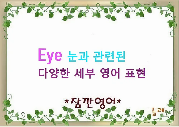 눈 관련 영어 표현 2026: 외모 묘사부터 감정 표현까지 완벽 정리