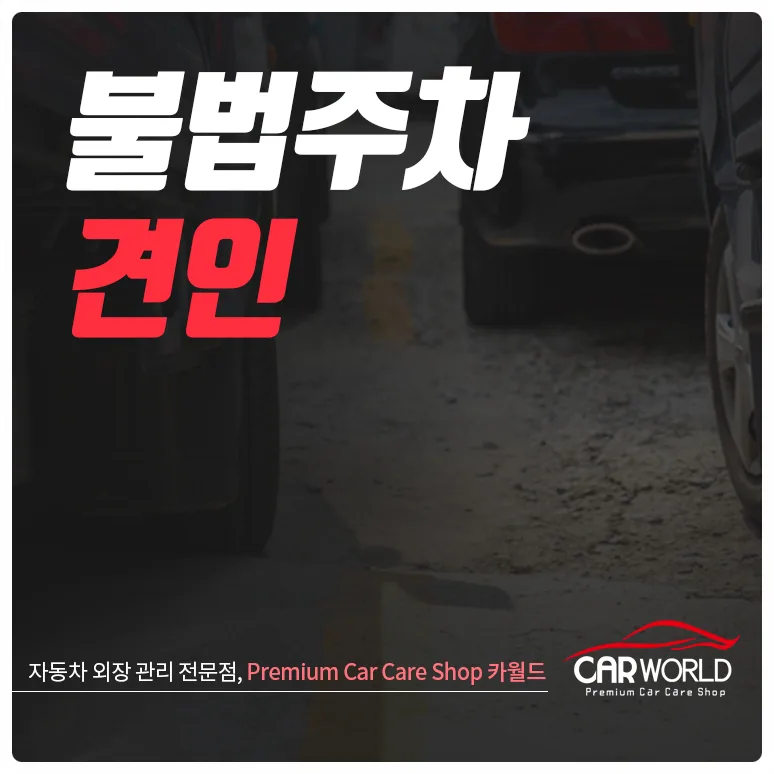 불법주차 즉시 견인 대상 2026년 총정리: 유형별 과태료까지