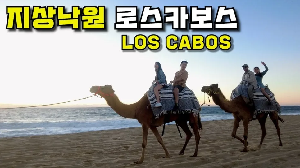 Camel Trekking 2026: Your Guide to Unforgettable Desert Adventures