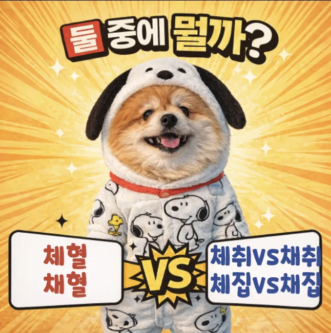 채혈 vs 체혈, 채집 vs 체집: 2026년 올바른 맞춤법 총정리