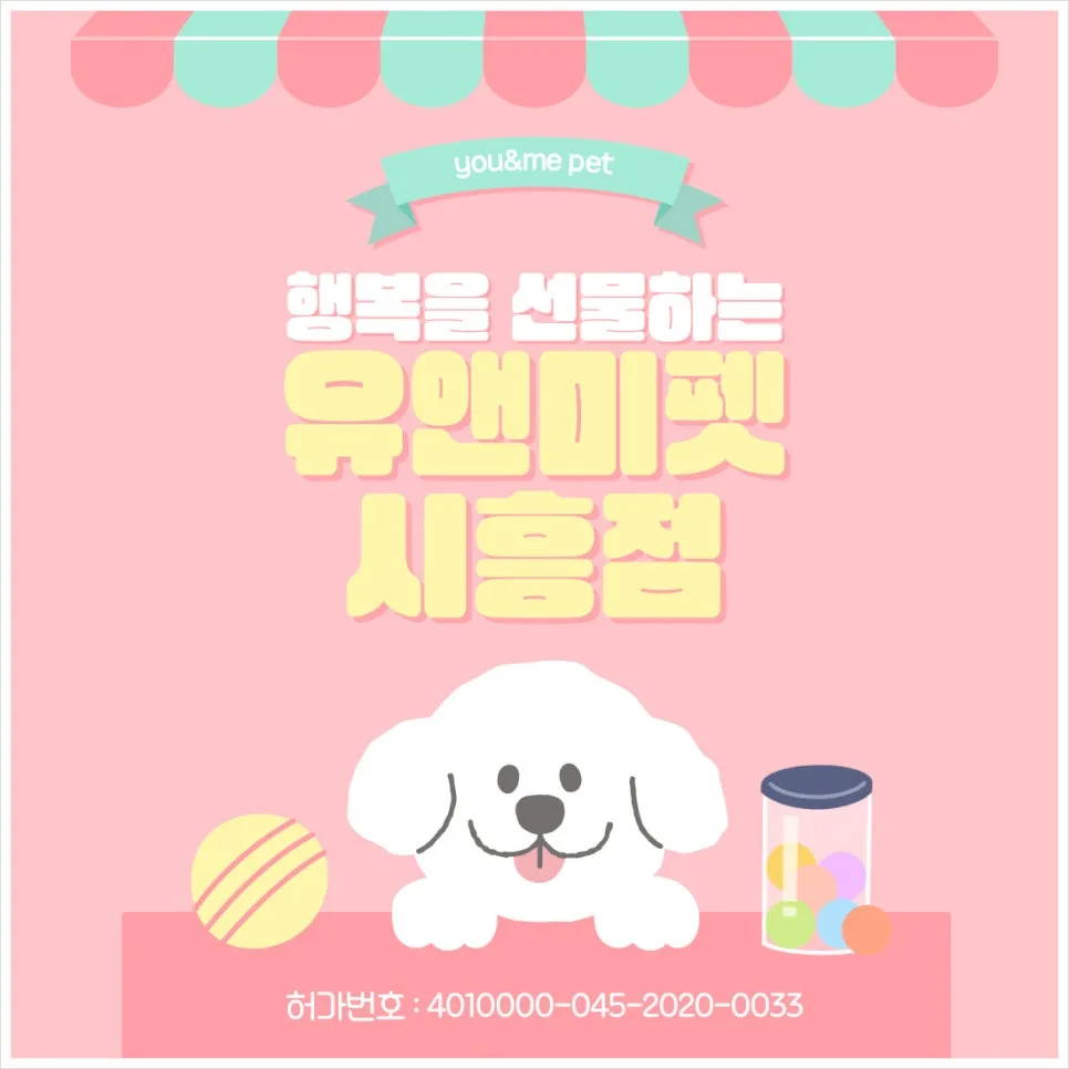 고양 먼치킨 분양 2026: 유앤미펫 경험자 후기 및 주의사항 — 반려동물 — dbdosalvpt