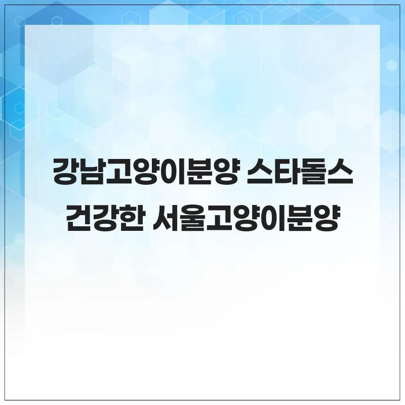 서울 고양이 분양 2026: 건강한 반려묘 찾는 법 (스타돌스 경험)