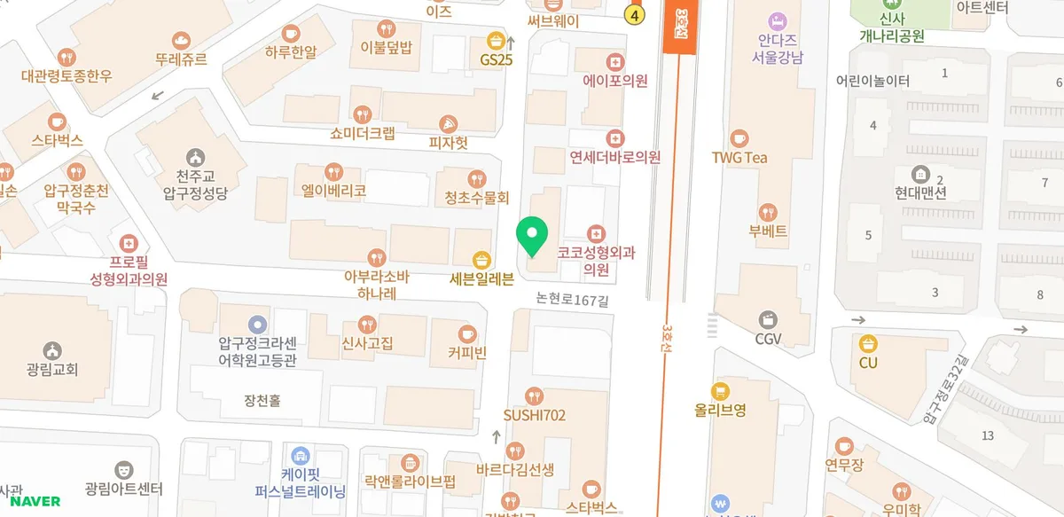 서울 고양이 분양 2026: 건강한 반려묘 찾는 법 (스타돌스 경험) 2