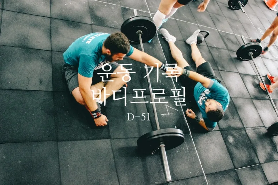 바디프로필 50일 전, 운동 루틴 점검 및 개선 전략 2026