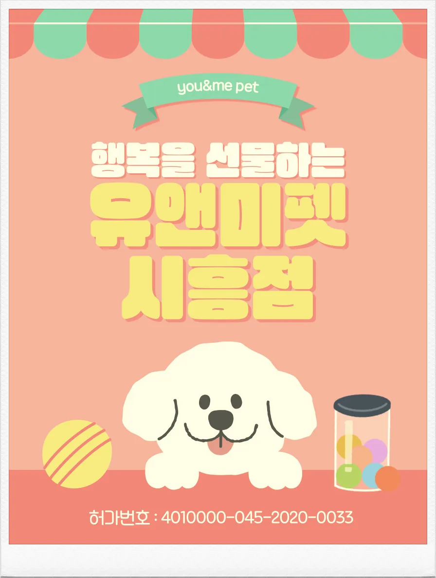 김포 말티푸 분양, 유앤미펫 경험자 후기 2026