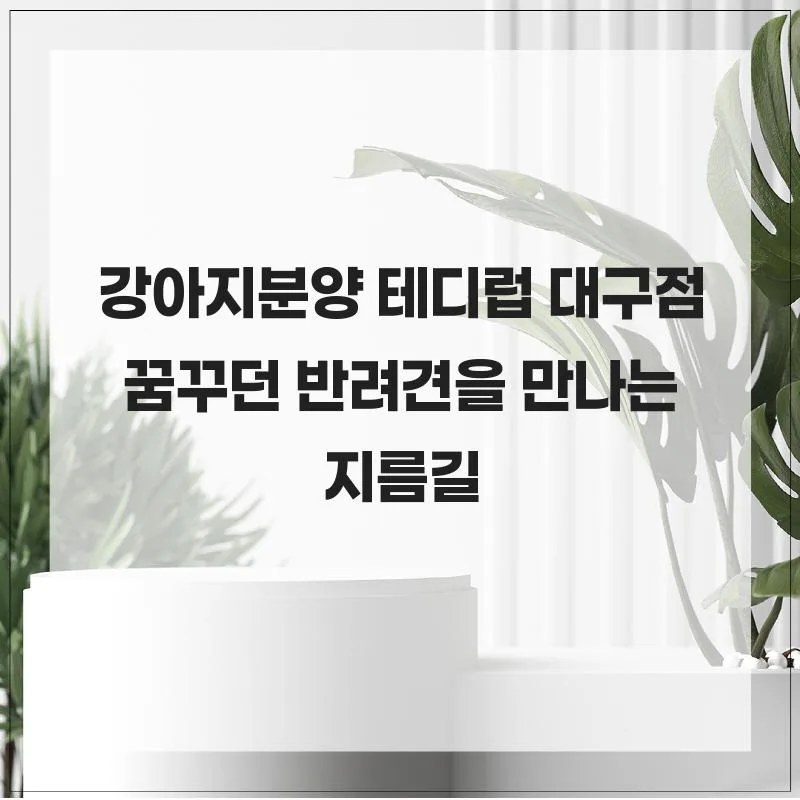 2026년 강아지 분양, 테디럽 대구점서 반려견 찾는 법