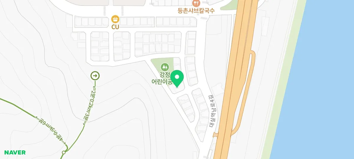 2026년 강아지 분양, 테디럽 대구점서 반려견 찾는 법 2