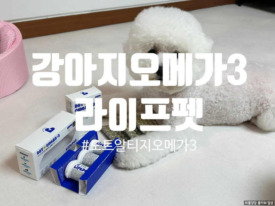 강아지 오메가3, 초소형 캡슐로 급여 고민 끝! (2026)