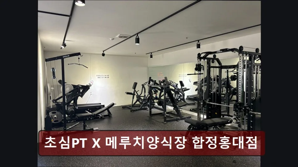 홍대 PT 2026년, 초심PT 체계적 맞춤 케어 후기