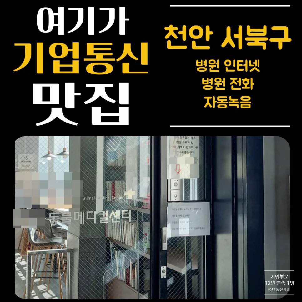 동물병원 자동 녹음, 레코드온으로 고객 관리 2026년 업그레이드