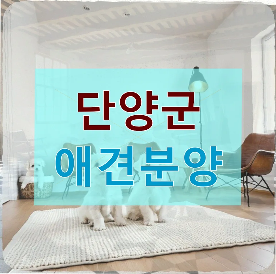 단양군 애견분양: 새 가족 맞이 준비와 책임 2026년 완벽 가이드