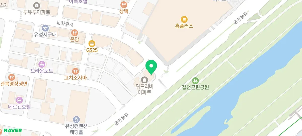 대전 강아지 분양 2026: 더펫 유성본점 방문 후기 및 필수 확인 사항 2