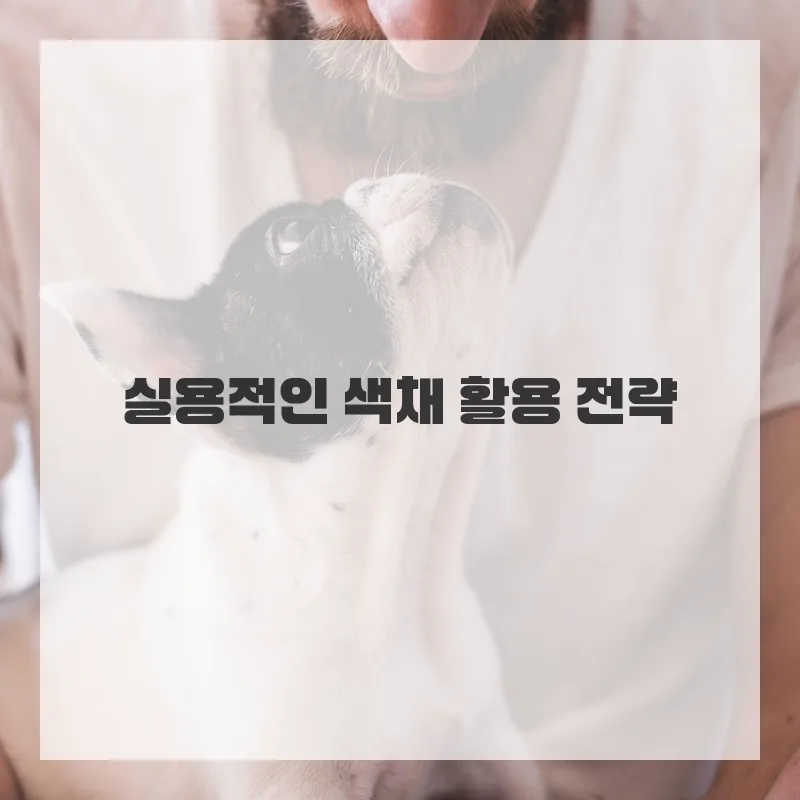 색채 이론 2026: 색상환, 심리, 활용법 완벽 가이드