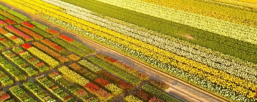 동티가 나다 뜻과 유래: 금기 어겼을 때 재앙 부르는 이유 2026