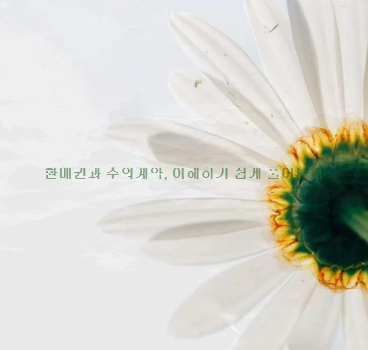환매권 vs 수의계약 2026: 조건, 장단점, 주의사항 완벽 비교