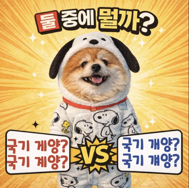 국기 게양 vs 계양 vs 개양: 2026년 올바른 맞춤법 완벽 정리