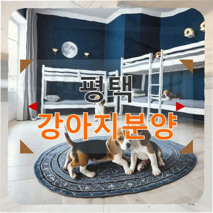 평택 강아지분양 현실, 50대 반려인 경험 기반 솔직 후기 2026