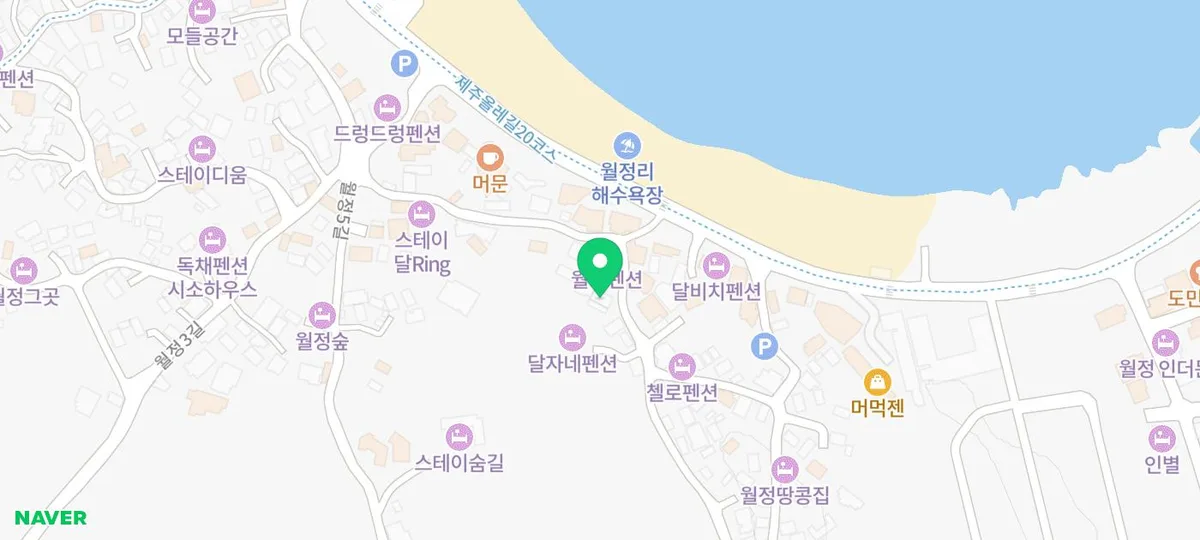제주 강아지 분양 2026: 오래 함께할 반려견 찾는 5단계 2